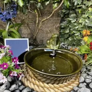 Tranquility Water Features - Ceramic Frog