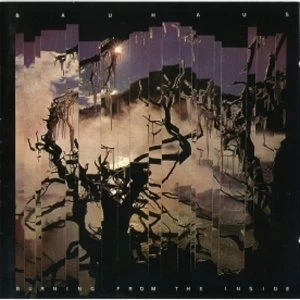 Image of Bauhaus - Burning From The Inside CD