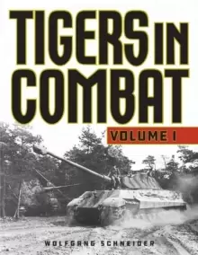 Image of Tigers in Combat