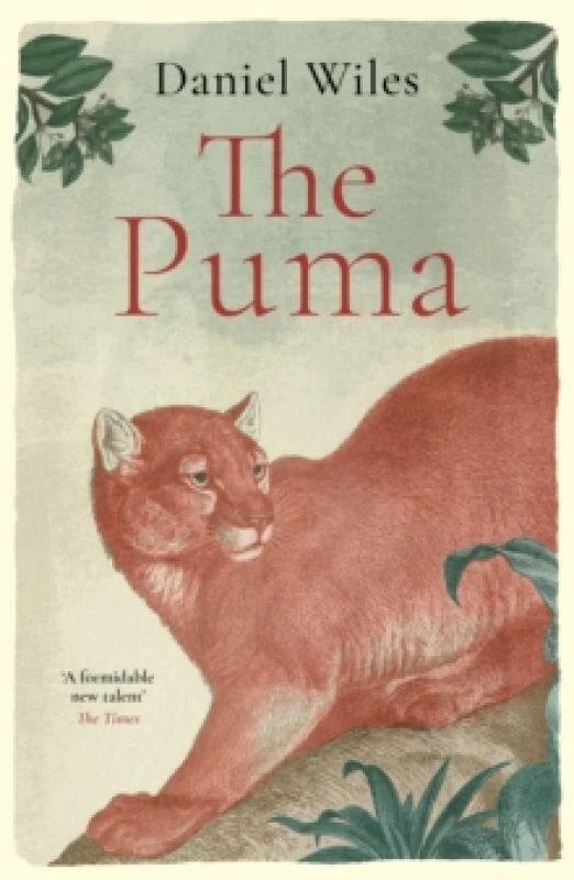 Image of The Puma : 'A formidable new talent' The Times Hardback
