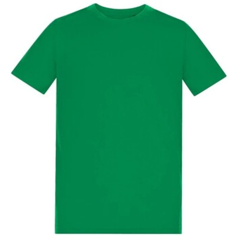 Image of Awdis 150 boys's Children's T shirt in Green