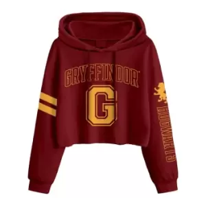 Image of Harry Potter - College Style Gryffindor (SuperHeroes Inc. Cropped Pullover) Ex Ex Large