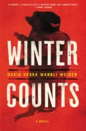 Image of winter counts