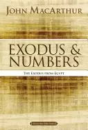 Image of exodus and numbers the exodus from egypt