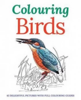 Image of Colouring Birds by Peter Gray Paperback