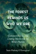 Image of forest reminds us who we are connecting to the living medicine of wild plan