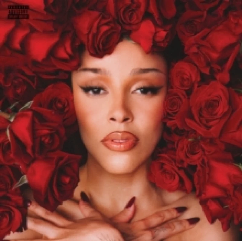Image of Vie Vinyl