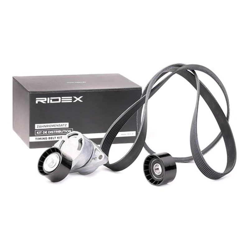 Image of RIDEX 542R0081 V-ribbed belt set V-Ribbed Belt Set (542)