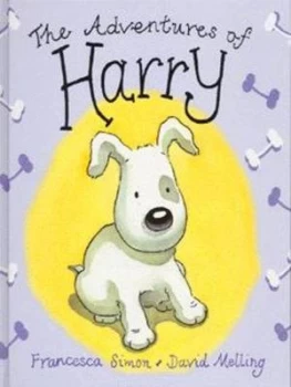 Image of The Adventures of Harry by Francesca Simon Hardback