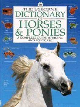 Image of The Usborne Dictionary of Horses and Ponies by Struan Reid and Karen Bush and Aziz Khan Hardback
