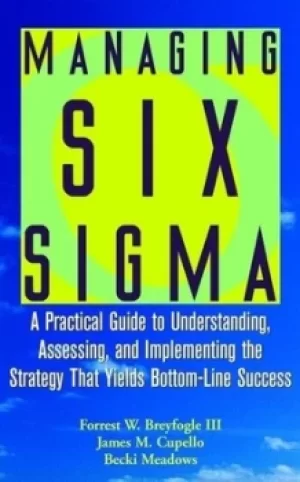 Image of Managing Six sigma by Forrest W Breyfogle