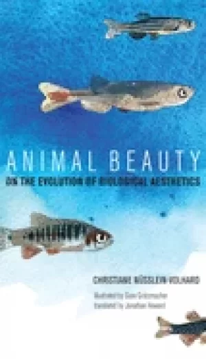Image of animal beauty on the evolution of biological aesthetics