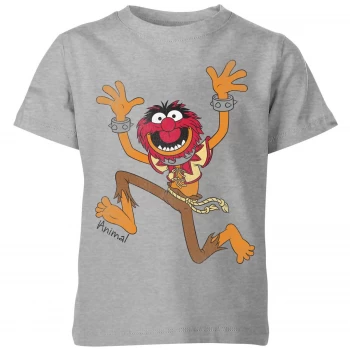 image of Disney Muppets Animal Classic Kids T-Shirt - Grey - 3-4 Years