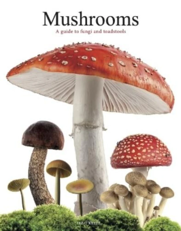 Image of Mushrooms : A guide to fungi and toadstools Paperback / softback