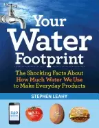 Image of your water footprint the shocking facts about how much water we use to make