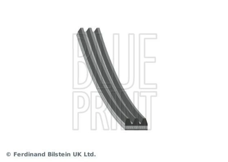 Image of Blue PRINT Serpentine belt Blue PRINT AD03S817