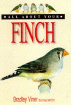 Image of All about Your Finch by Bradley Viner Paperback