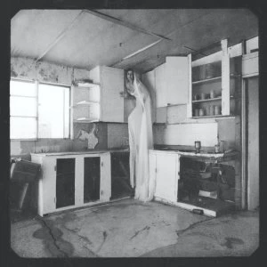 Image of Vera Sola - Shades Limited Edition White Vinyl