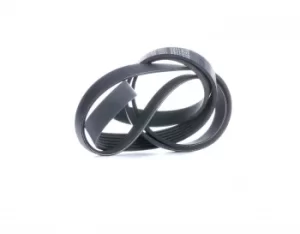 Image of GATES Poly V-Belt VW,VOLVO 6PK1753 1271829,9189229,9458411 Ribbed Belt,V Ribbed Belt,Multi V Belt,Poly Belt,V-Ribbed Belts 037145933A,037145933C