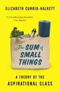 Image of sum of small things a theory of the aspirational class