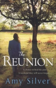 Image of The Reunion by Amy Silver Book