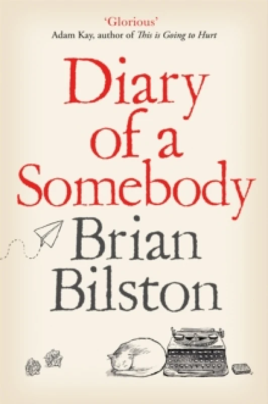 Image of Diary of a Somebody Paperback / softback