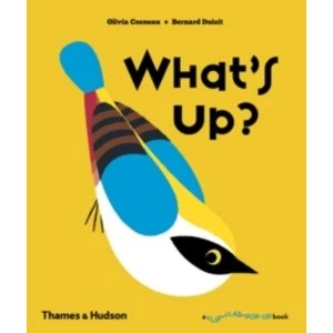 Image of What's Up?
