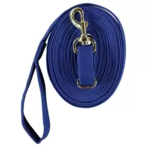 Image of Kincade Equigrip Lunge Rein - Blue