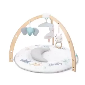 Image of aden + anais Activity Gym