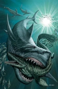 Image of Megladon and Prehistoric Sharks by Various Book