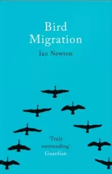 Image of Bird Migration