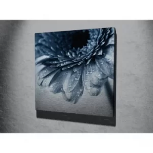 Image of KC022 Multicolor Decorative Canvas Painting