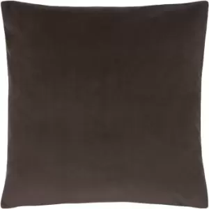 Image of Sunningdale Velvet Square Cushion Truffle, Truffle / 50 x 50cm / Polyester Filled