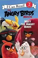 Image of angry birds movie meet the angry birds