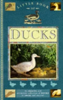 Image of Little Book of Ducks Book