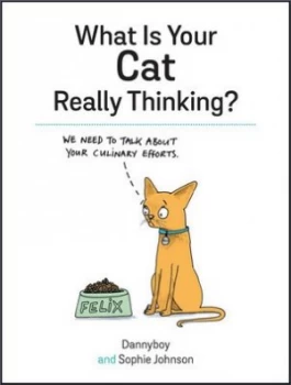 Image of What Is Your Cat Really Thinking by Sophie Johnson Hardback