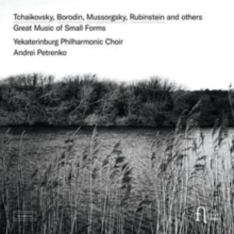 Image of Great Music of Small Forms CD / Album