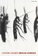 Image of catherine chalmers american cockroach