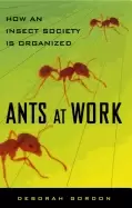 Image of ants at work how an insect society is organized