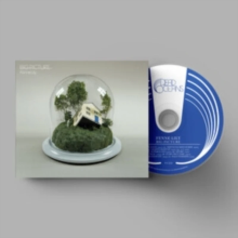 Image of Big Picture CD / Album