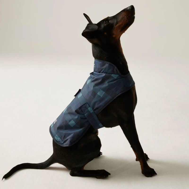 Image of Regatta Arlo Waterproof Dog Coat - Blue Blue M