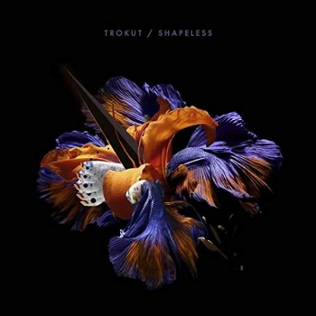 Image of Trokut - Shapeless CD