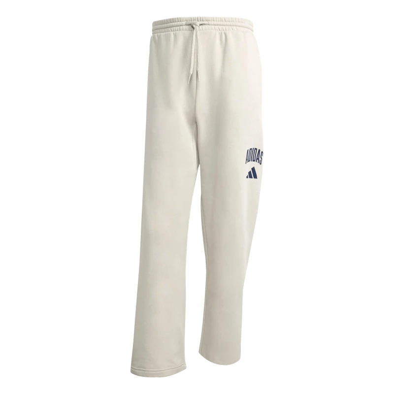 Image of adidas Collegiate Pant Mens Alumina/Blue male L