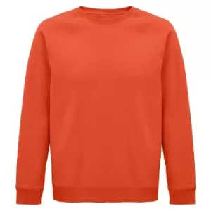 Image of SOLS Unisex Adult Space Organic Raglan Sweatshirt (L) (Burnt Orange)