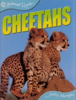 Image of Cheetahs by Qed Hardback