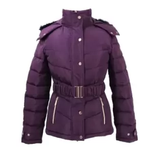 image of Coldstream Womens/Ladies Cornhill Quilted Coat (L) (Purple)