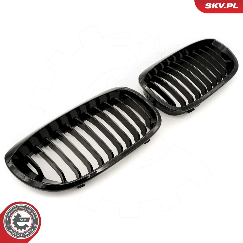 Image of ESEN SKV Radiator Grille ESEN SKV 66SKV068