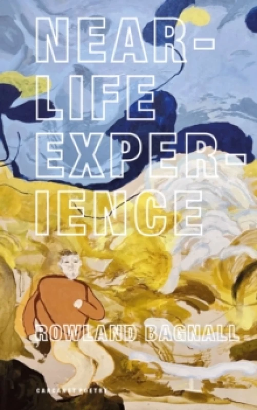 Image of Near-Life Experience Paperback / softback