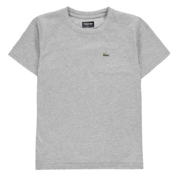 Image of Lacoste Junior Boys Basic Logo T Shirt - Grey