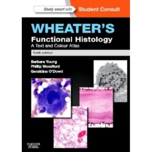 Image of Wheater's Functional Histology : A Text and Colour Atlas